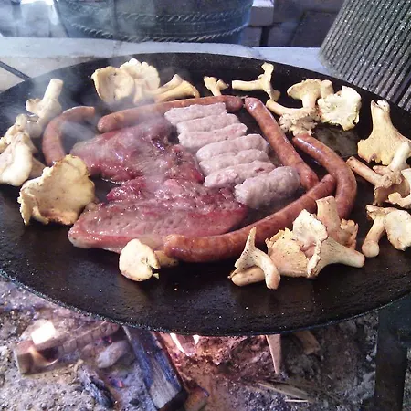 Koliba Oaza Mira Gostinjska kuća